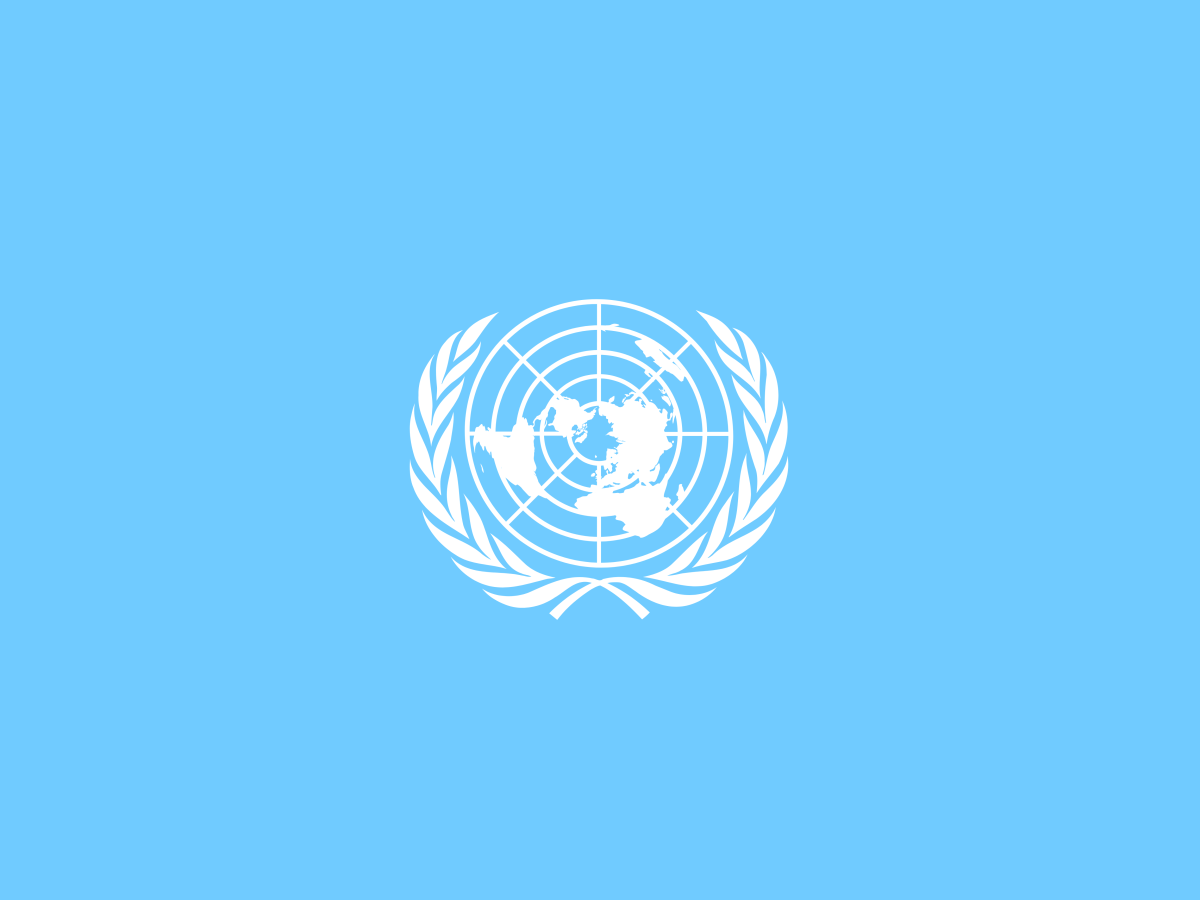 FN och de mänskliga rättigheterna